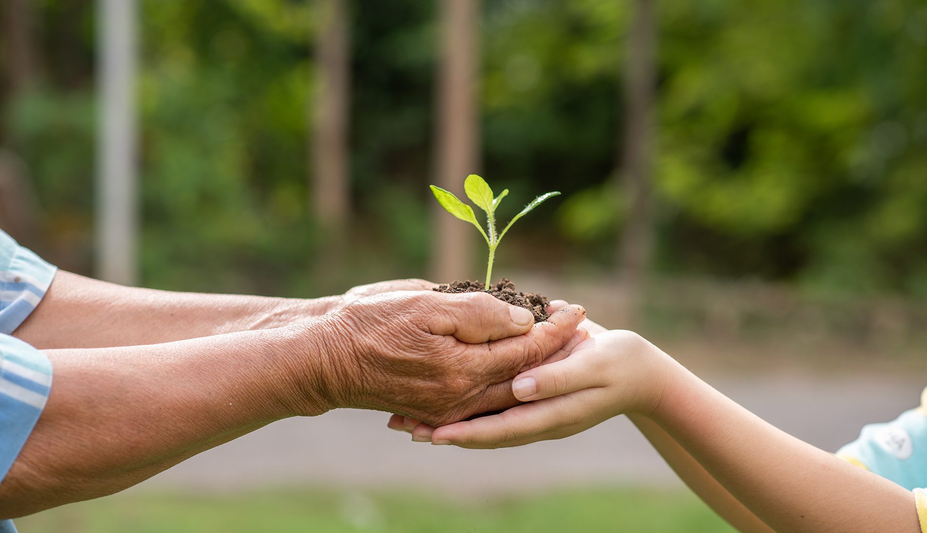 Donner, recevoir, rendre